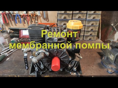Видео: Ремонт мембранной помпы Bertolini PA 830 VC. Замена мембран.