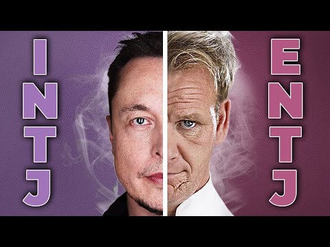 Видео: 10 основных различий между типами личности INTJ и ENTJ