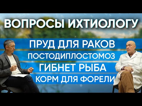 Видео: Вопросы ихтиопатологу. Пруд для раков. Заразится ли хищник постодиплостомозом? Гибнет рыба. О кормах