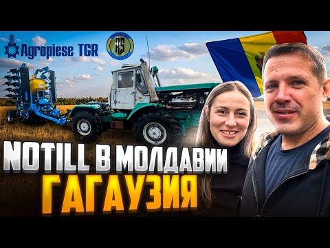 Видео: NoTill в Молдове Sich 6 Pro Remsintez🇦🇩