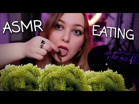 Видео: АСМР ЕМ МОРСКОЙ ВИНОГРАД 🤤 Расскажу как МНЕ ВТЮХАЛИ КРЕДИТКУ и РАЗВЕЛИ в БЕЛАРУСИ 😈 ASMR SEA GRAPES