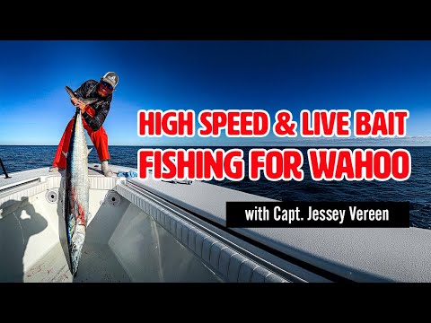 Видео: Скоростная рыбалка на ваху с капитаном Джесси Верином
