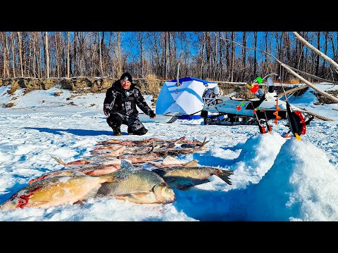 Видео: КОМБАЙНЫ ГНУТСЯ ОТ РЫБЫ! Три ночи на реке в палатке. РЫБАЛКА удалась!