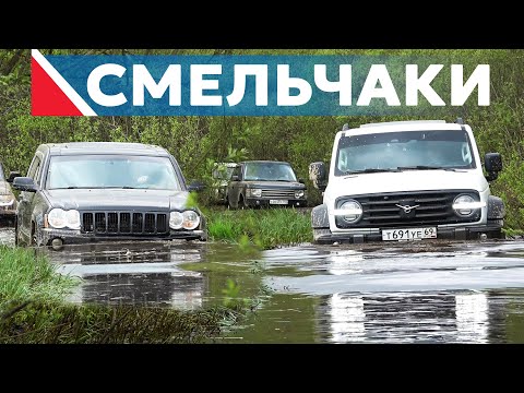 Видео: ГОРОДСКИЕ ВЛИПЛИ... TANK 300, Jeep Cherokee, Range Rover, Nissan X-Trail, SsangYong бездорожье 2024