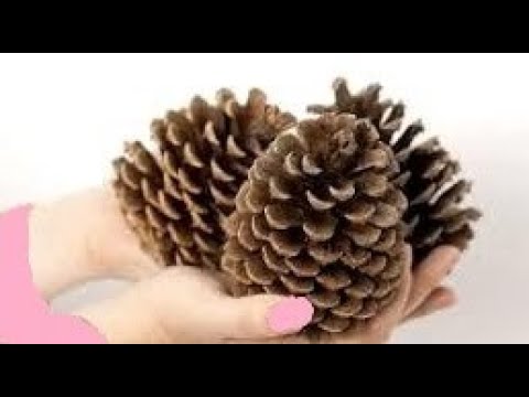 Видео: ВЗЯЛА лишь ШИШКИ СОСНОВЫЕ! Вы будете в Восторге от этих поделок! Каждый сможет! DIY!
