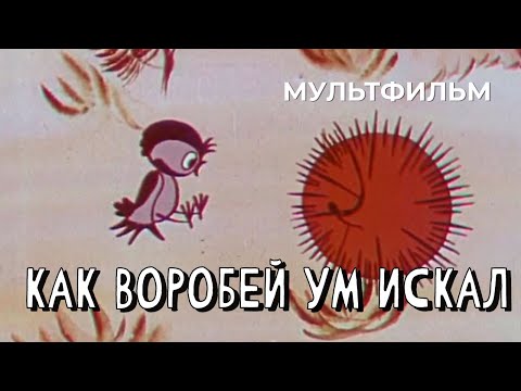 Видео: Как воробей ум искал (1970 год) мультфильм