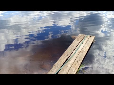 Видео: НАКОНЕЦ-ТО НАСОС КИНУЛА В РЕЧКУ. КУПАТЬСЯ ПОКА НЕ ЗАХОТЕЛОСЬ. ХОЛОДНОЕ ЛЕТО.