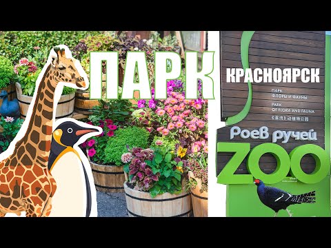 Видео: ОБЗОР БОЛЬШОГО И КРАСИВОГО  ЗООПАРКА В КРАСНОЯРСКЕ. ПАРК ФЛОРЫ И ФАУНЫ «РОЕВ РУЧЕЙ»