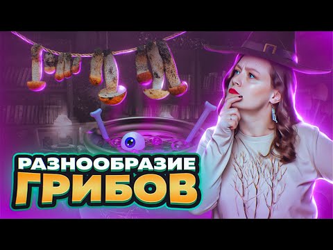 Видео: РАЗНООБРАЗИЕ ГРИБОВ | Современная классификация грибов | ЕГЭ-2025 по биологии