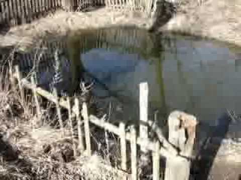 Видео: Андрей Мисин - Чужой