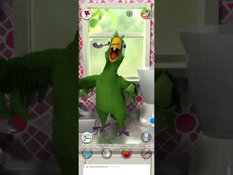 Видео: Мой говорящий Пьер.