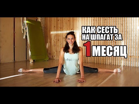 Видео: Как сесть на ШПАГАТ ЗА 1 МЕСЯЦ