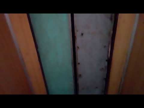 Видео: Лифты МОЭЛЗ и МЛМ, г/п 500 и 400 кг, V=1 м/с (бул. Центральный, 23, подъезд 3, г. Запорожье)