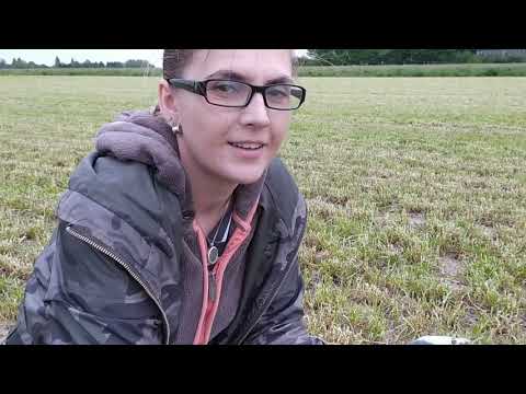 Видео: я не пропала! Я КОПАЛА! по чуть-чуть, везде, всякое-разное, в том числе и золото!