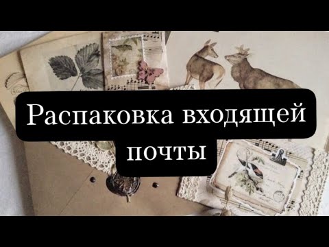 Видео: Распаковка входящей почты💌