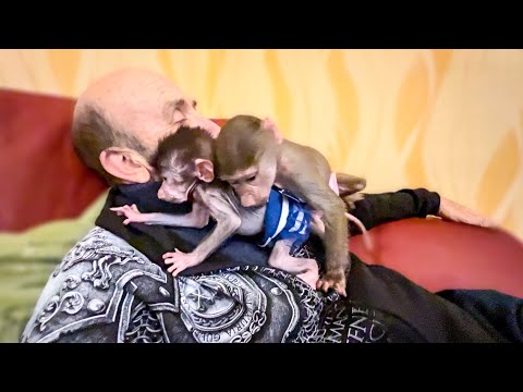 Видео: Люсе тоже хочется быть такой же маленькой и любимой как Стнпашка)))