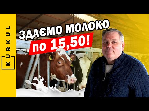 Видео: Відмовились від макухи та отримали плюс 60 тис. грн щодня — Годівля корів на СФГ Урожай/Куркуль