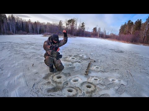 Видео: О ТАКИХ РЫБАЛКАХ МНОГИЕ УМАЛЧИВАЮТ... БЕЗМОТЫЛКА