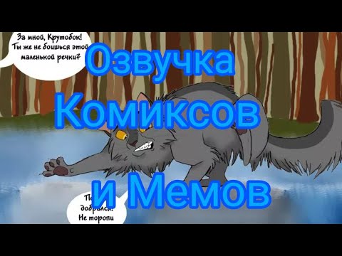 Видео: Озвучка комиксов и мемов по Котам воителям!|КВ|Головастик