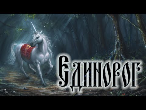 Видео: Единорог - мифическое существо?