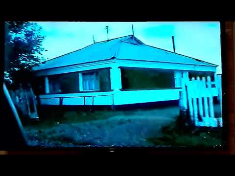 Видео: УСАМБАЙ - СТИХ "ВСТРЕЧА" написал Валерий Козлов. Видеосъёмка и обработка: Валерий К.