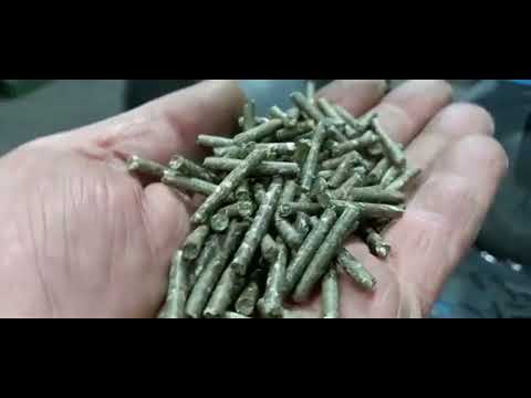 Видео: Гранулятор первому покупателю