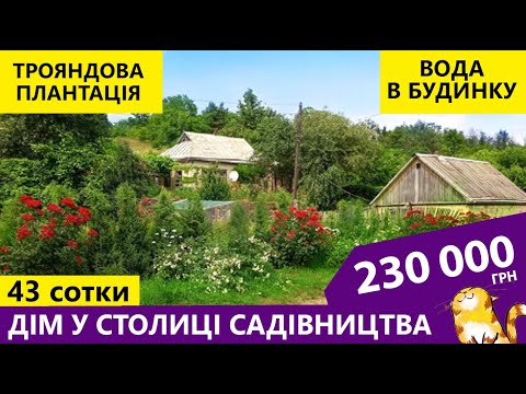 Видео: Огляд будинку в селі з прекрасним садом.