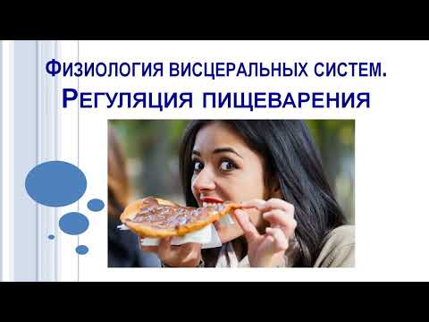 Видео: Регуляция пищеварения.
