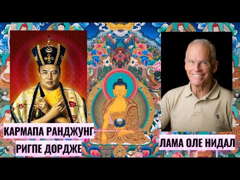 Видео: Лама Оле Нидал рассказывает о 16 Гьялва Кармапе, Рангджунг Ригпе Дордже. УЛУЧШЕН ЗВУК!!!