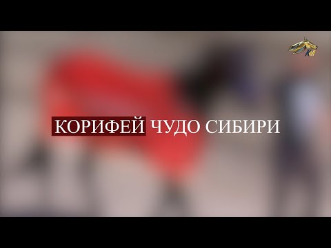 Видео: PRO_Лошадей. Корифей. 6 августа 2023 года. 18:10