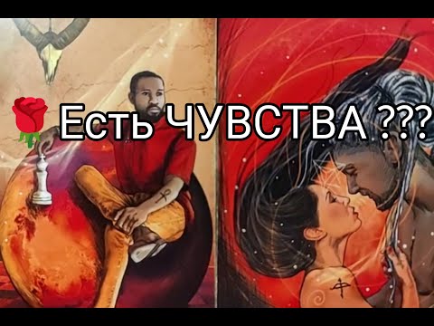Видео: 🔥 Насколько Сильно ЕГО ТЯНЕТ к ТЕБЕ СЕЙЧАС 💯💐!? ЛЮБИТ !? Чего Хочет 🌹!? Гадание онлайн, таро, tarot 