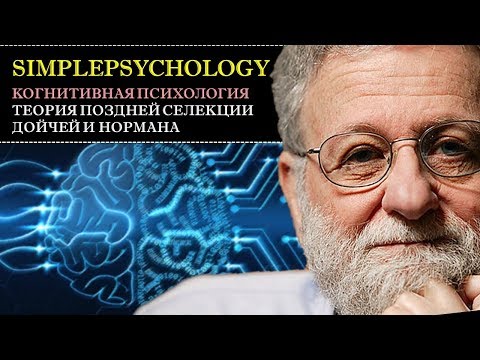 Видео: Когнитивная психология внимания #34. Теория поздней селекции Дойчей и Нормана