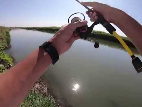 Видео: Жерех