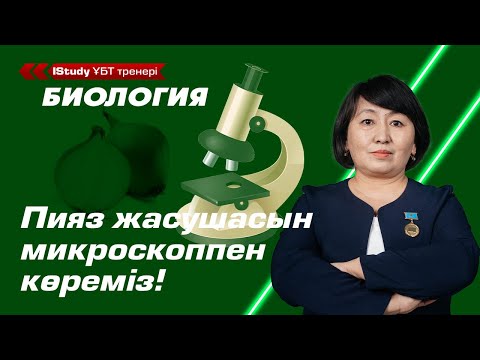 Видео: Микроскоп құрылысы. Пияз жасушасын микроскоппен көреміз! | Ұбт Биология 2021.