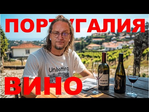 Видео: Вина из Португалии Возможно лучшие вина мира