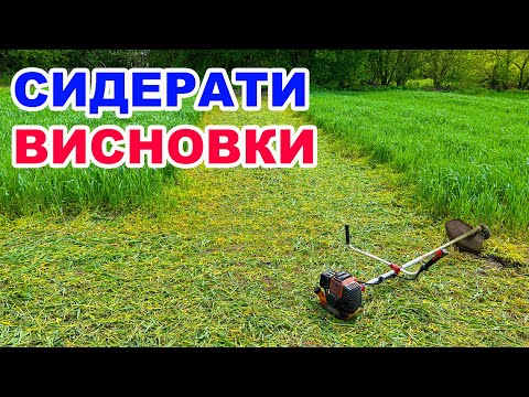Видео: Які сидерати краще ?