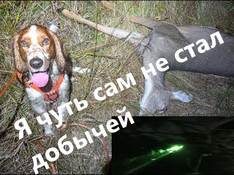 Видео: Несколько первых вылазок 25 - 26 сезона