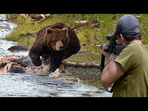 Видео: Охота на повстанческих медведей с ружьями 😱👌👍 часть 1