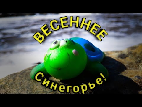 Видео: Весеннее Синегорье!