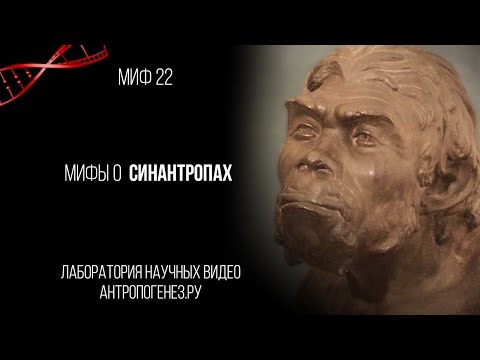 Видео: Александр Соколов. Мифы о Синантропах