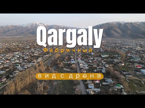 Видео: Qargaly (Фабричный)
