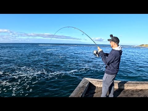Видео: Невероятная рыбалка на суше на этом КУЛЬТОВОМ пирсе!!