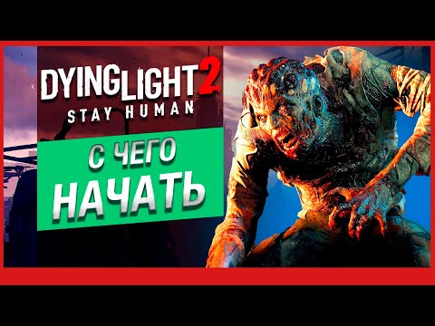 Видео: Dying Light 2 – гайд без спойлеров. Все, чтобы начать игру