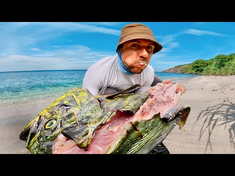 Видео: СЮРПРИЗ ПОДПИСЧИКУ НА ОСТРОВЕ. Готовлю Рыбу на Костре. Подводная охота. Рыбалка на спиннинг.№67