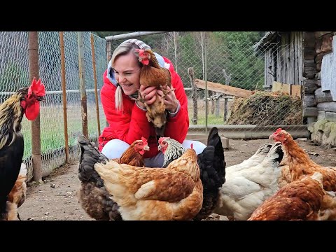 Видео: Простая жизнь в деревне. Ведём хозяйство и радуемся каждому дню!