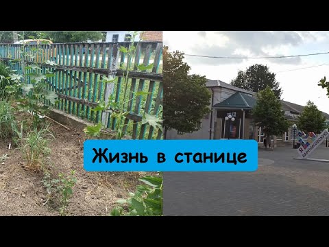 Видео: Уборка в палисаднике //Последние посадки // Новый заказ