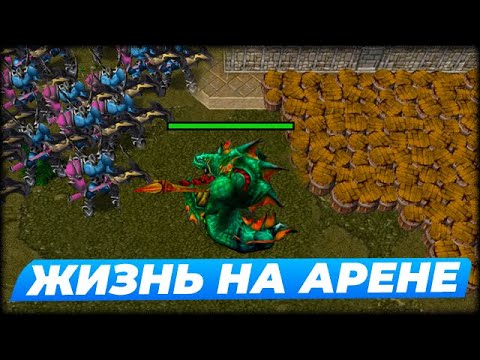 Видео: Жизнь на Арене до финала в 2025