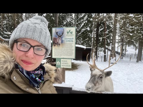 Видео: ГДЕ ОТДОХНУТЬ в Подмосковье, отель "Пересвет Русские Сезоны", Вы будете в шоке, вся правда