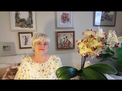 Видео: ИНТЕРНЕТ КРЕПЧЕ ТЕЛЕВИЗОРА ДЕРЖИТ В ОБЪЯТИЯХ..СИДИМ НА ЛАВОЧКЕ