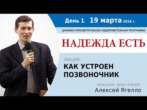 Видео: День 1. Лекция "Как устроен позвоночник". Алексей Ягелло